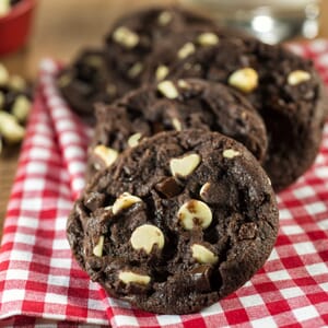 Chocolate Lover's Variety Pack