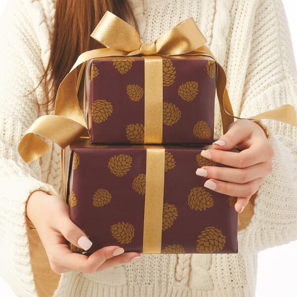 Gold Winter Pine Cones Gift Wrap - 996-E204
