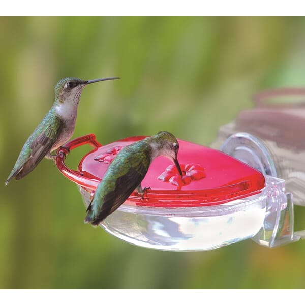 The Gem Hummingbird Window Feeder - 998-701
