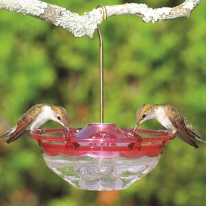 Hummblossom Hummingbird Feeder