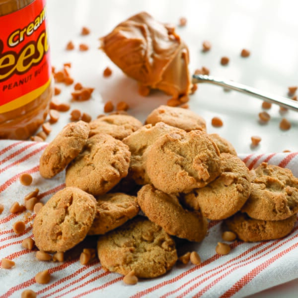 2 bags! Peanut Butter with Reese's Peanut Butter Chips Minis - 206-844