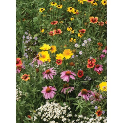 Honeybee Garden Flower Seed Mat