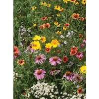 Honeybee Garden Flower Seed Mat
