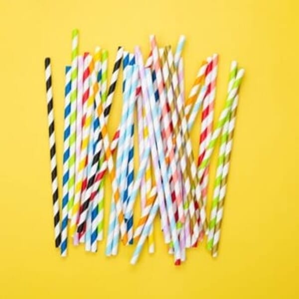 Paper Straws & FREE Peppermint Bark - 