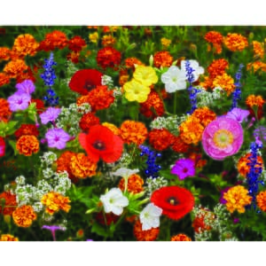 DeerGuard Flower Garden