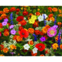 DeerGuard Flower Garden