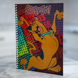 Scooby Doo Memory Album