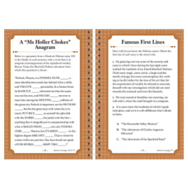 Sherlock Holmes Puzzle Book - 996-E105